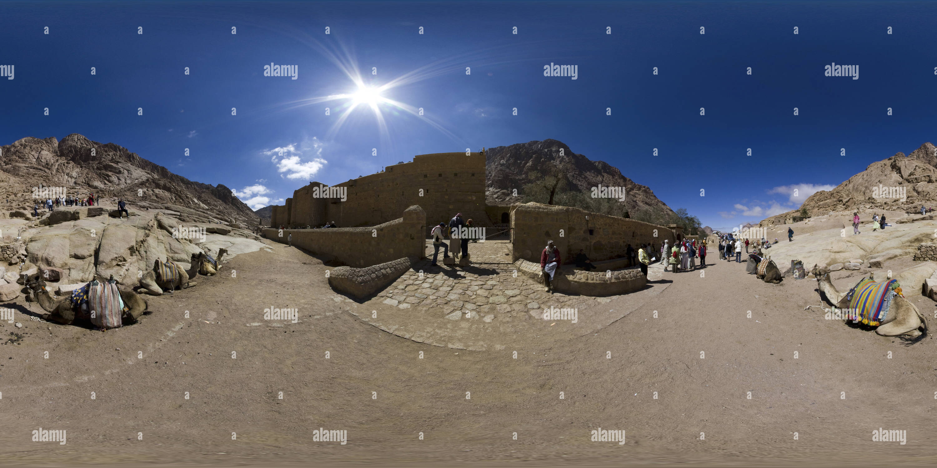 Vue à 360° de Les chameaux en dehors de St Katherine's Monastery, Sinaï ...